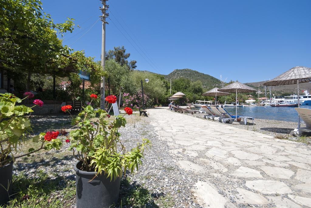 Jenny'S House Hotel السليمية المظهر الخارجي الصورة